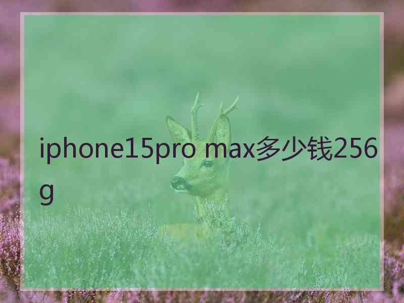 iphone15pro max多少钱256g