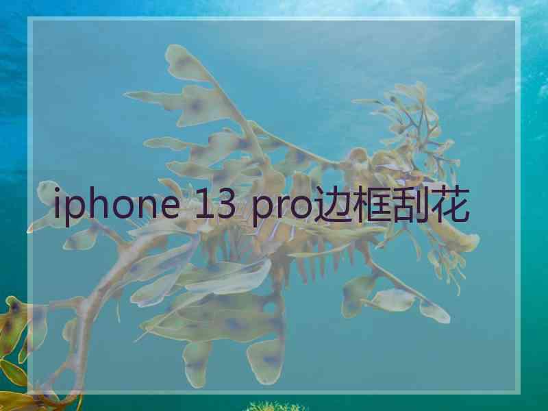 iphone 13 pro边框刮花