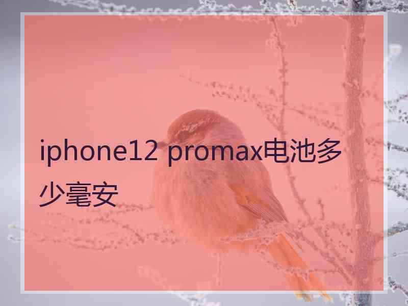 iphone12 promax电池多少毫安