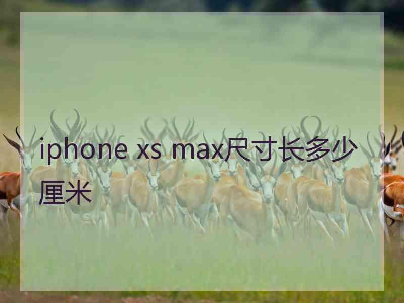 iphone xs max尺寸长多少厘米