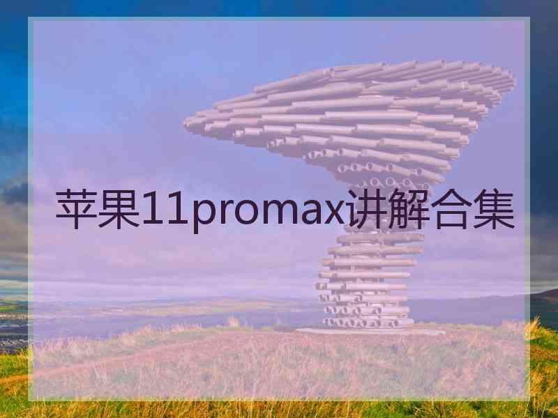 苹果11promax讲解合集