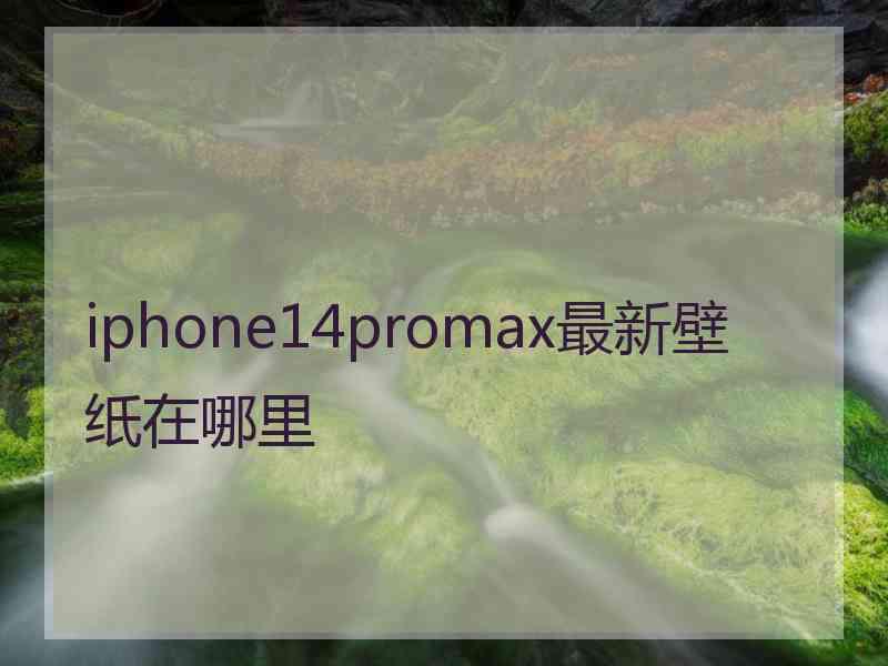 iphone14promax最新壁纸在哪里