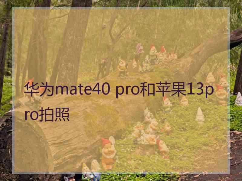 华为mate40 pro和苹果13pro拍照