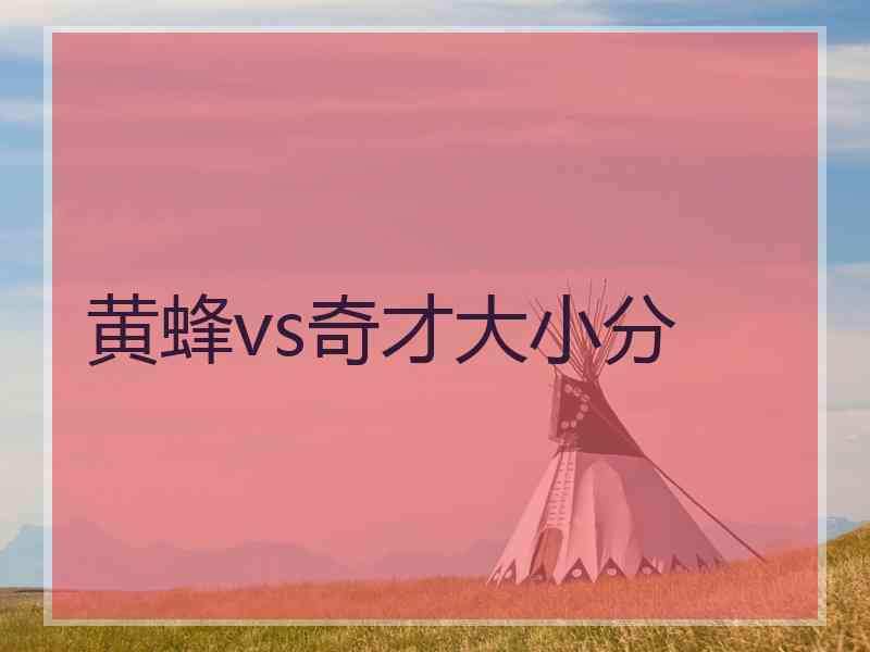 黄蜂vs奇才大小分