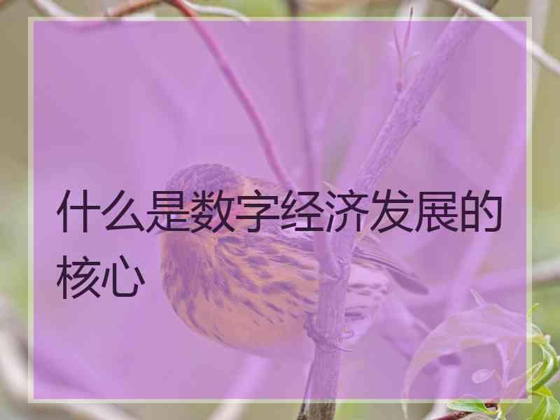 什么是数字经济发展的核心