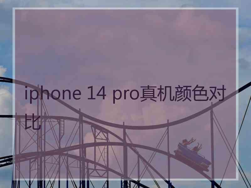 iphone 14 pro真机颜色对比