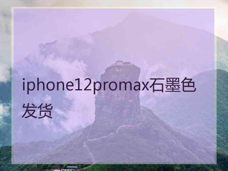 iphone12promax石墨色发货