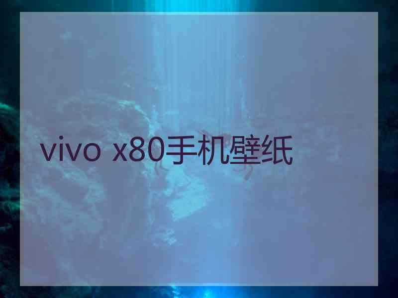 vivo x80手机壁纸