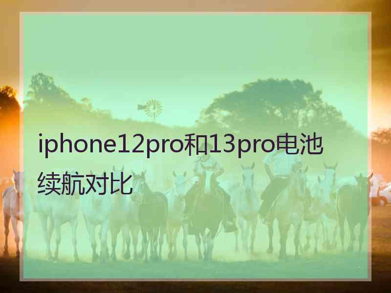 iphone12pro和13pro电池续航对比