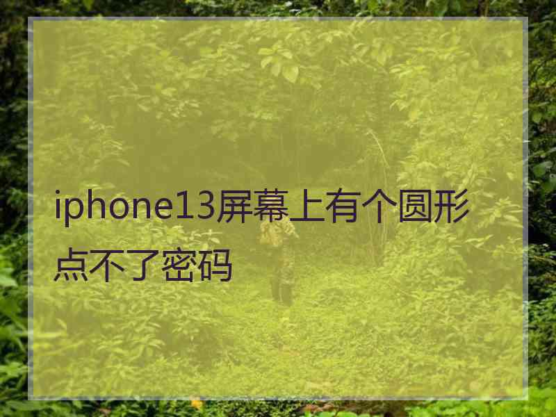 iphone13屏幕上有个圆形 点不了密码