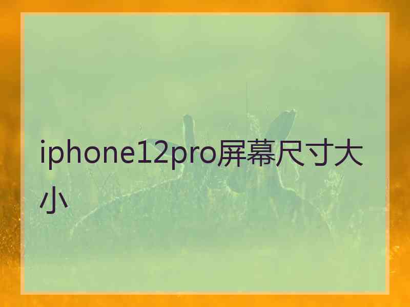 iphone12pro屏幕尺寸大小