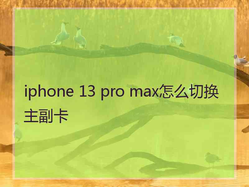 iphone 13 pro max怎么切换主副卡