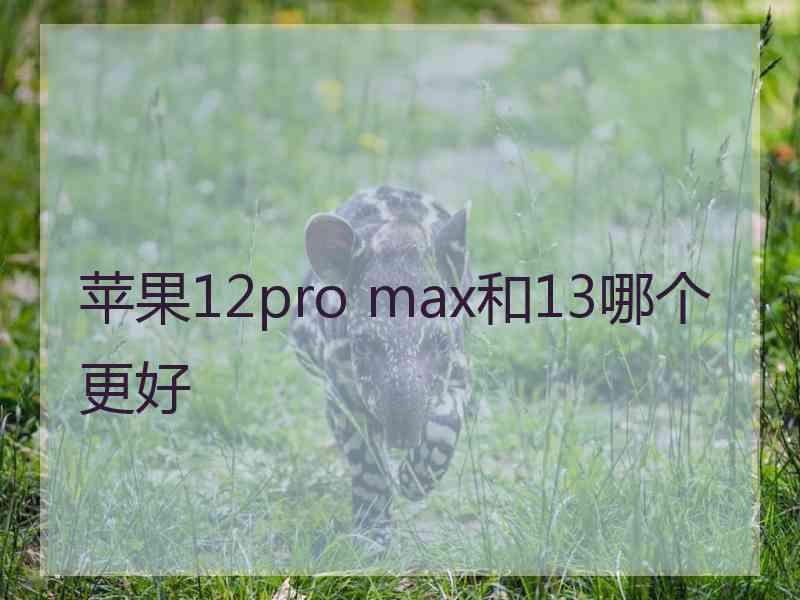 苹果12pro max和13哪个更好