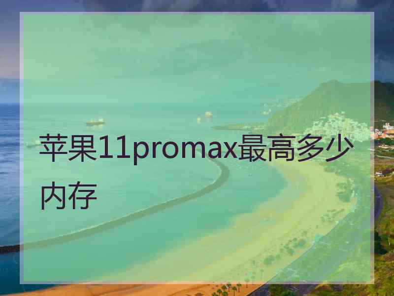 苹果11promax最高多少内存