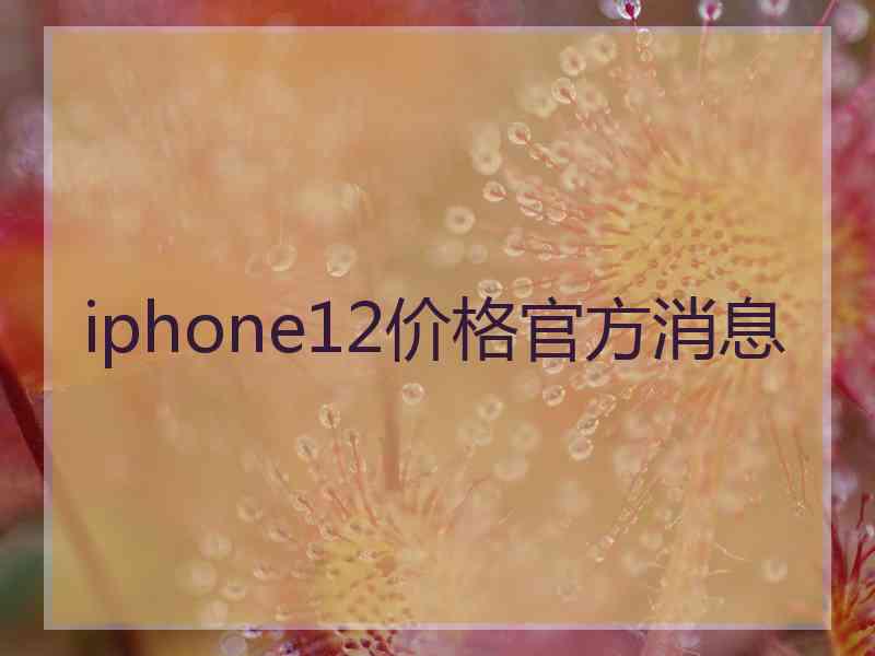 iphone12价格官方消息