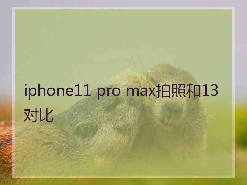 iphone11 pro max拍照和13对比