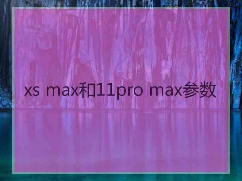 xs max和11pro max参数