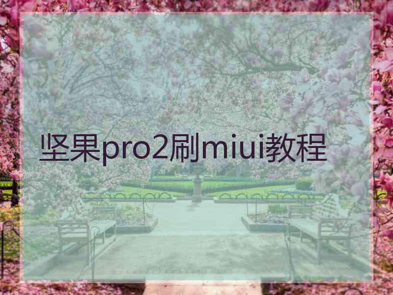 坚果pro2刷miui教程