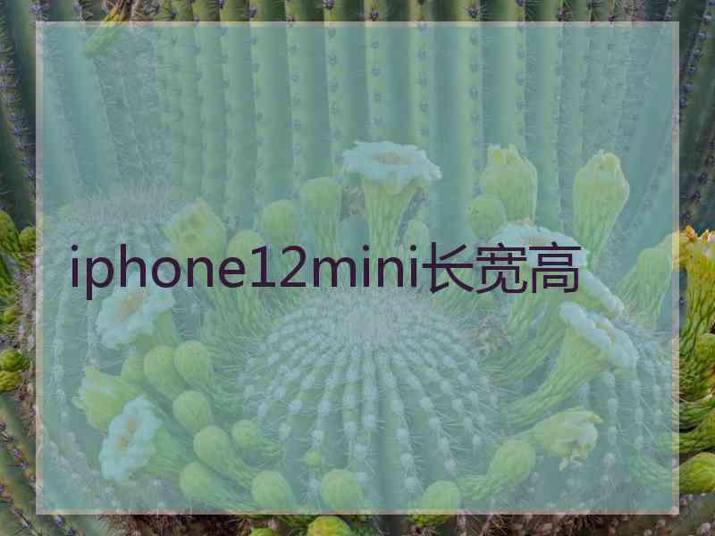 iphone12mini长宽高