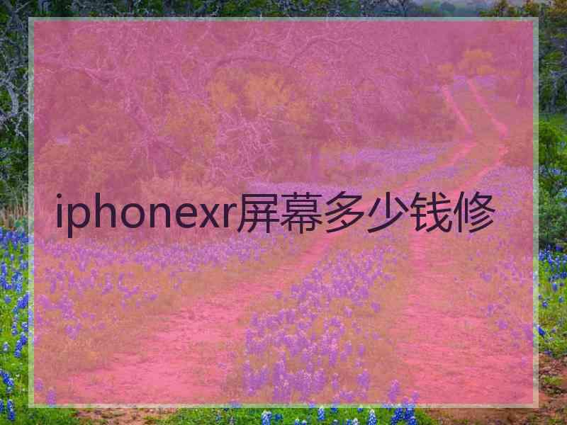 iphonexr屏幕多少钱修