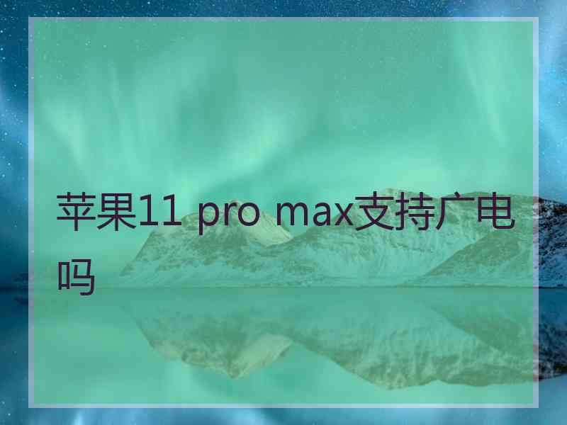 苹果11 pro max支持广电吗