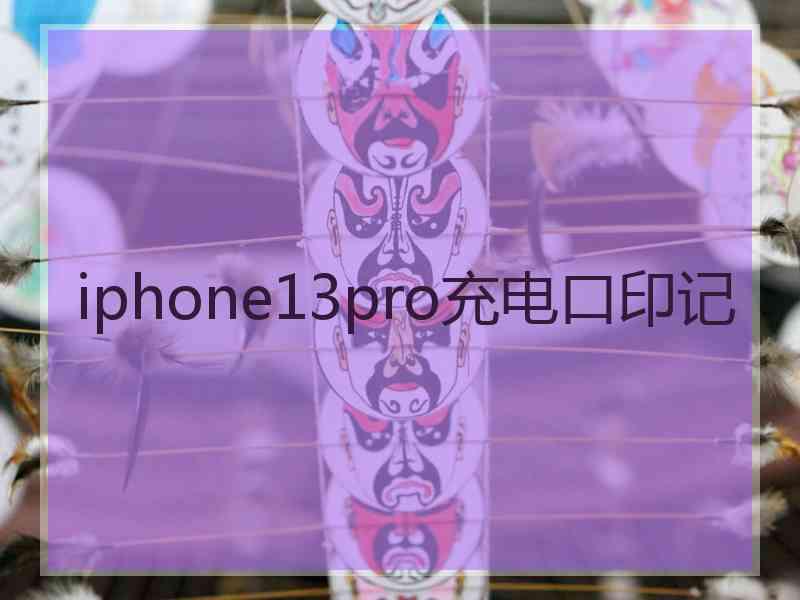 iphone13pro充电口印记