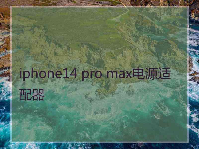 iphone14 pro max电源适配器