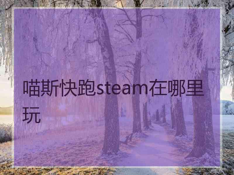 喵斯快跑steam在哪里玩