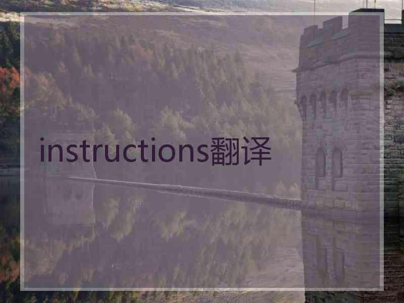 instructions翻译