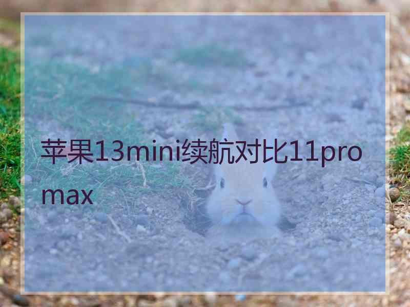 苹果13mini续航对比11pro max