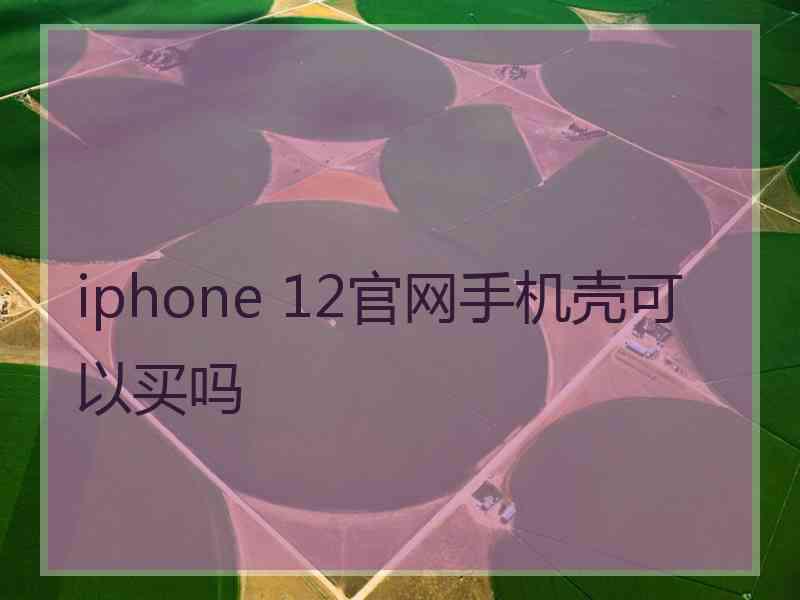 iphone 12官网手机壳可以买吗