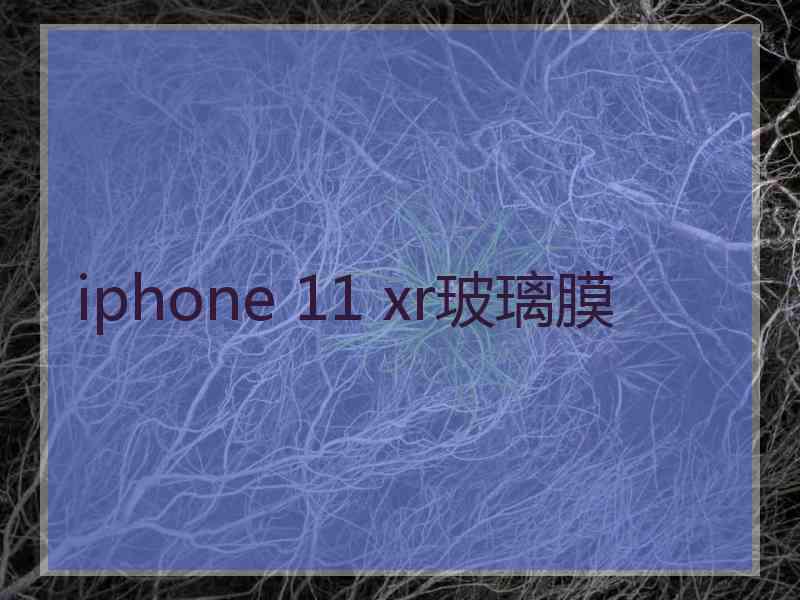 iphone 11 xr玻璃膜