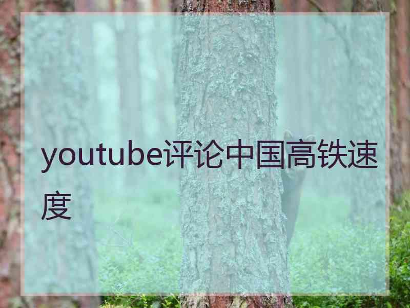 youtube评论中国高铁速度