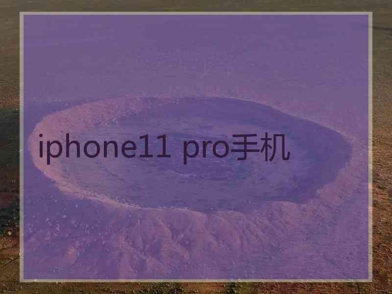 iphone11 pro手机