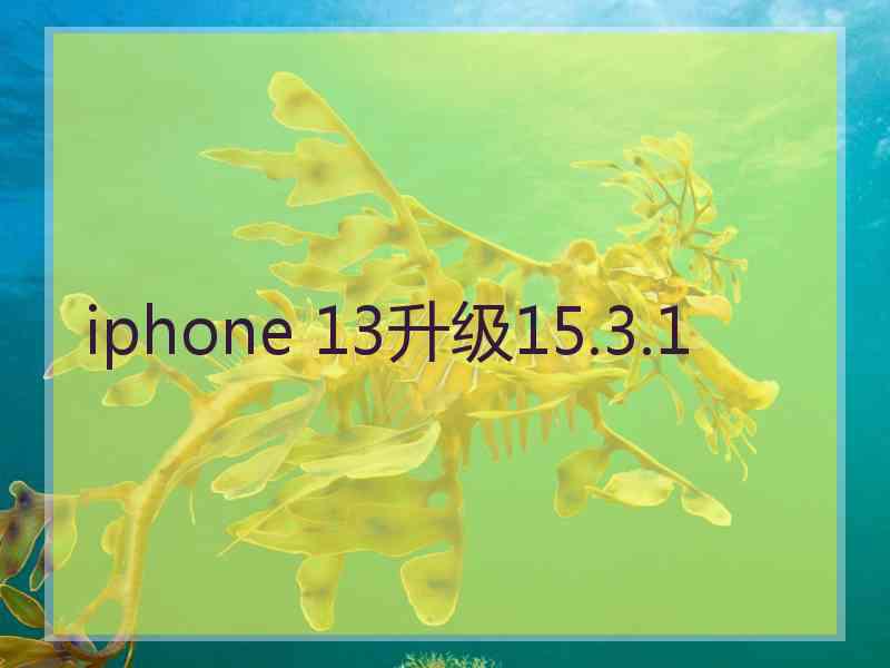 iphone 13升级15.3.1