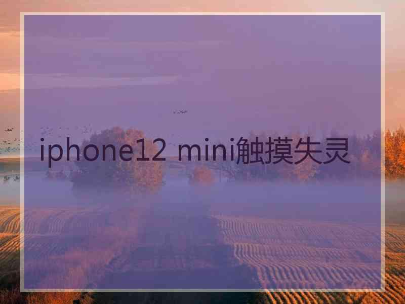 iphone12 mini触摸失灵