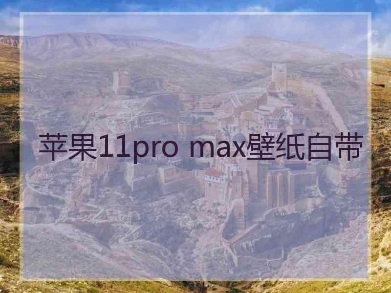 苹果11pro max壁纸自带