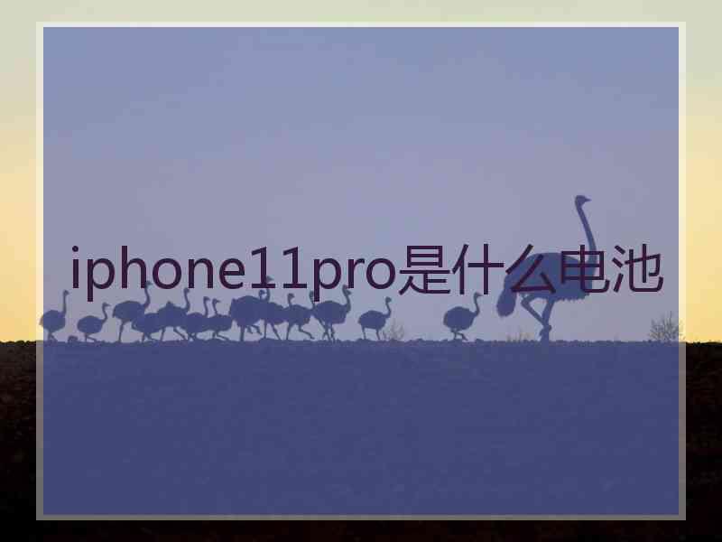 iphone11pro是什么电池