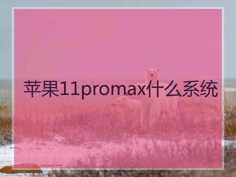 苹果11promax什么系统