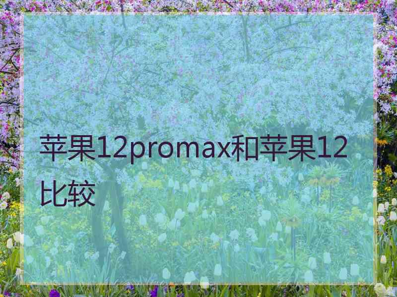 苹果12promax和苹果12比较