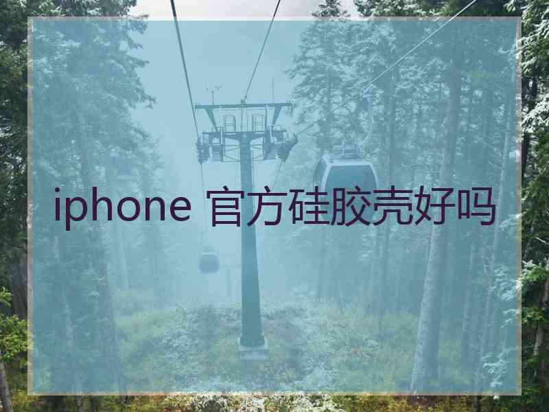 iphone 官方硅胶壳好吗