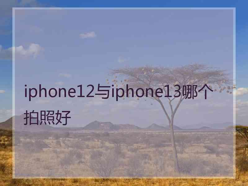 iphone12与iphone13哪个拍照好