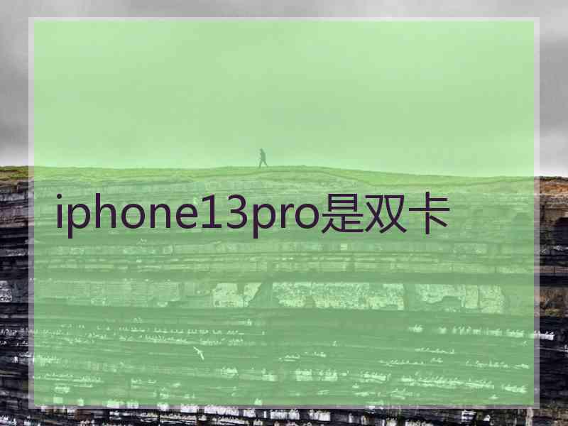 iphone13pro是双卡