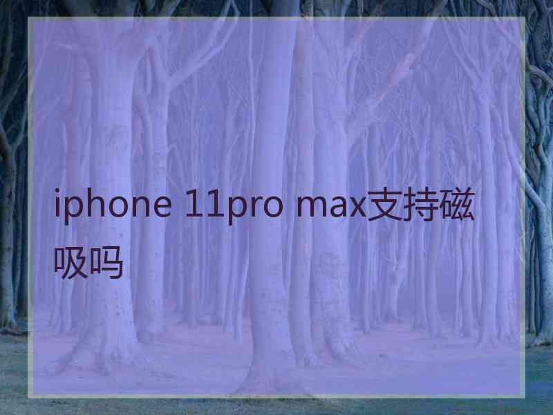 iphone 11pro max支持磁吸吗