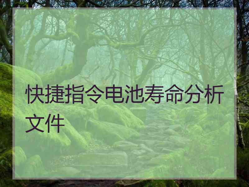 快捷指令电池寿命分析文件