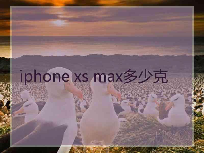 iphone xs max多少克