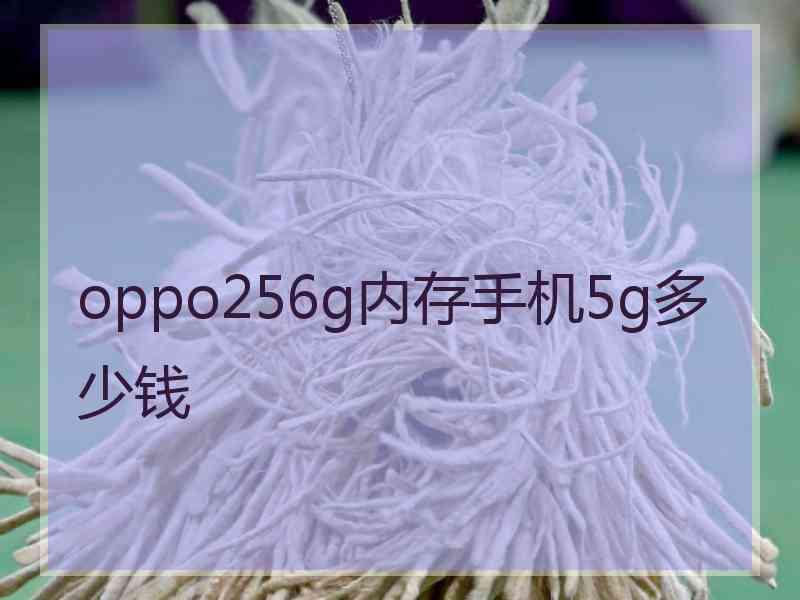 oppo256g内存手机5g多少钱