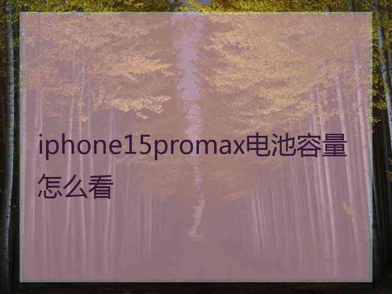 iphone15promax电池容量怎么看