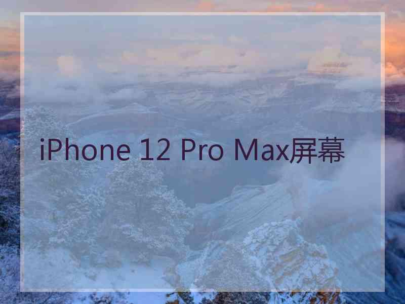 iPhone 12 Pro Max屏幕