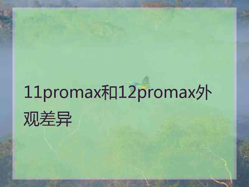 11promax和12promax外观差异